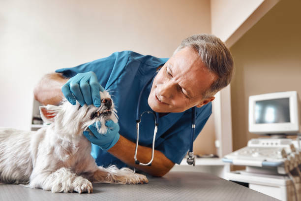 Best Emergency Dental Extractions in Bexley, OH