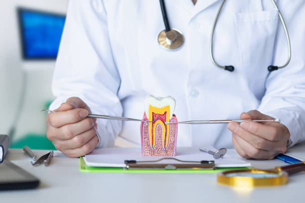 Best Urgent Dental Care for Toothache in Bexley, OH